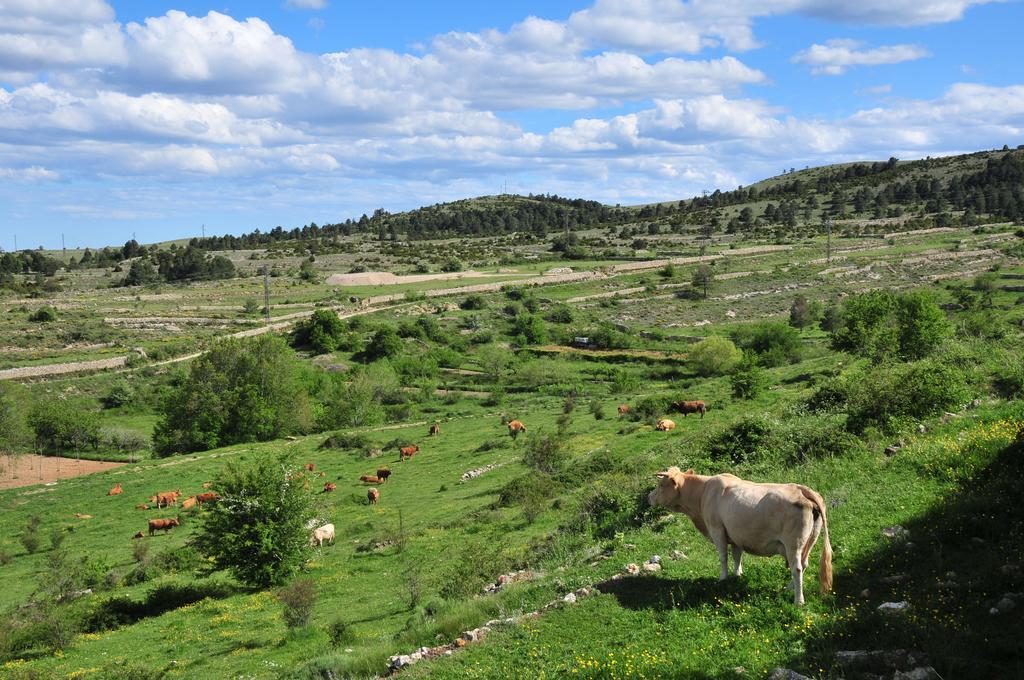 Casa Rural El Boixar - El Mirador Bojar Екстериор снимка