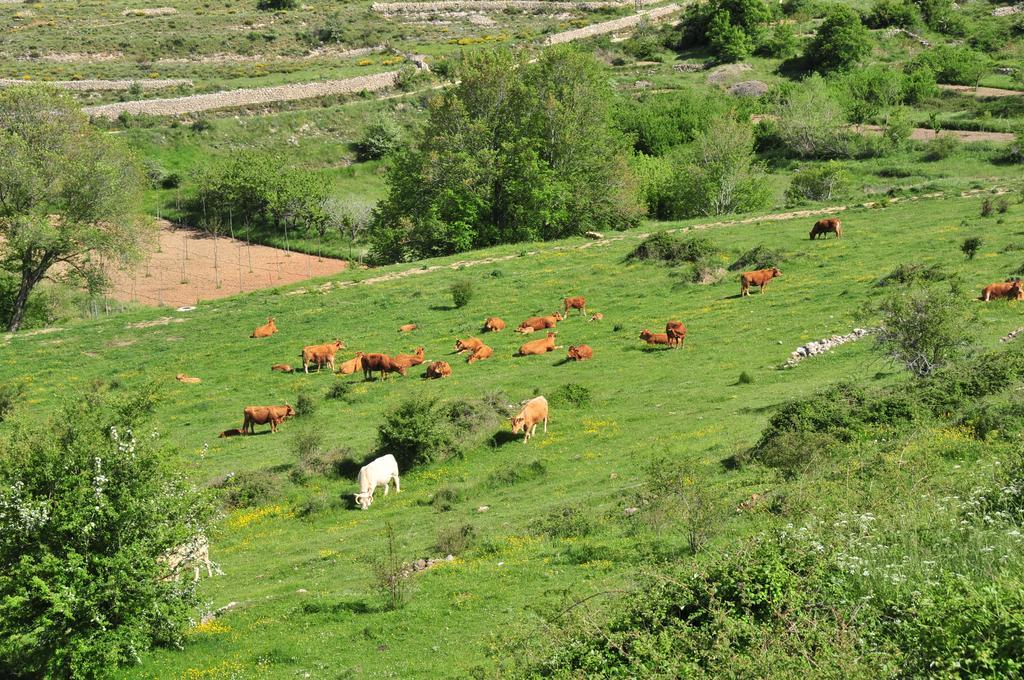 Casa Rural El Boixar - El Mirador Bojar Екстериор снимка